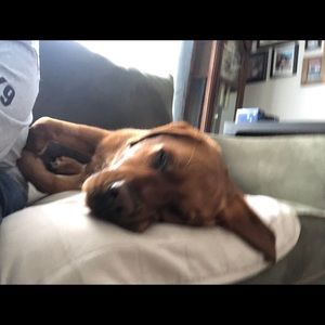 Meet your Posher, Denise